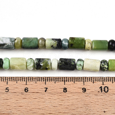 Natural Serpentine Beads Strands G-N346-03A-04-1