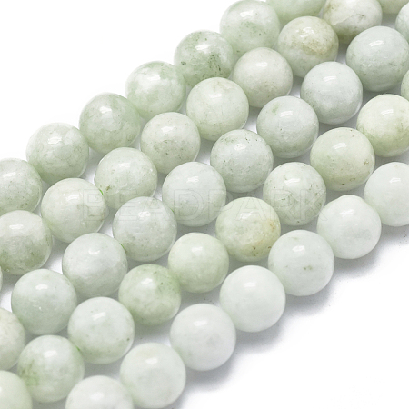 Natural Myanmar Jade/Burmese Jade Beads Strands G-D0001-09-8mm-1