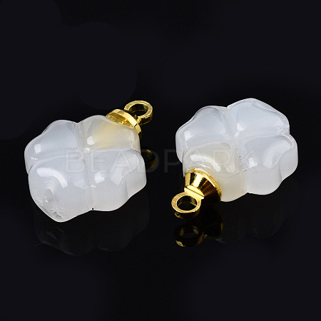 Glass Charms GLAA-N036-02B-1
