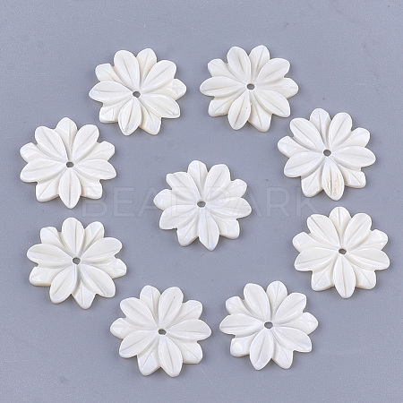 Carved Freshwater Shell Beads SHEL-T012-52-1