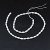 Dyed Natural Shell Beads Strands BSHE-E023-01C-2
