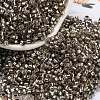 Glass Seed Beads SEED-S042-04A-09-1