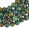 2 Strands Natural African Turquoise(Jasper) Beads Strands G-GO0007-09-1