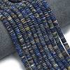 Frosted Natural Sodalite Beads Strands G-K389-C19-01-2