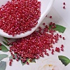 MIYUKI Delica Beads SEED-X0054-DB0162-1