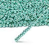 TOHO 6/0 Round Beads SEED-XTR06-PF0561-2