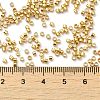 Electroplate Glass Seed Beads X-SEED-S042-01B-12-4