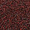 MIYUKI Round Rocailles Beads SEED-G008-RR4513-2