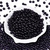 FGB Transparent Glass Seed Beads SEED-N013-01B-02-2