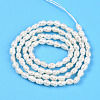 Natural Cultured Freshwater Pearl Beads Strands PEAR-N012-02X-3