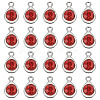 20Pcs Faceted Glass Charms RGLA-TADJ0001-01C-2