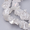 Electroplated Natural Quartz Crystal Bead Strands X-G-F336-06A-1