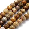 Natural Fossil Coral Beads Strands G-G763-12-8mm-4