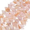 Natural Rose Quartz Beads Strands G-F833-T01-01-2