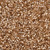 Glass Bugle Beads SEED-S032-08A-39A-3