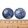 Natural Sodalite Cabochons G-C115-02B-18-3