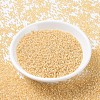 MIYUKI Round Rocailles Beads SEED-G007-RR0552-2