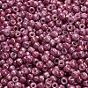 TOHO 6/0 Round Beads SEED-TR06-1202-4