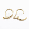 316L Surgical Stainless Steel Leverback Earring Findings STAS-E194-03G-2