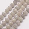 Natural Labradorite Bead Strands G-P259-05-8mm-1