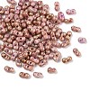 Picasso Glass Seed Beads SEED-Q038-02D-1