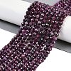Natural Ruby Beads Strands G-P553-G01-04-1