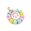 Glass Seed & Acrylic Pendants PALLOY-JF04485-5
