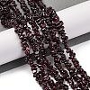 Natural Garnet Beads Strands F065-01A-2