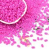 Baking Paint Glass Seed Beads SEED-L011-09A-13-1