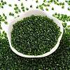 Glass Seed Beads SEED-L011-02B-02-2