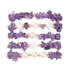 5Pcs 5 Style Natural Amethyst Chips Stretch Bracelets Set BJEW-JB09551-01-2