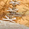 Preciosa® MAXIMA Crystal Round Stones Y-PRC-RBSS45-70010-5