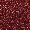TOHO 8/0 Round Beads X-SEED-TR08-0165C-2