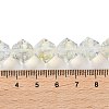 Handmade Lampwork Beads Strands LAMP-Q036-03D-4