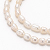Natural Cultured Freshwater Pearl Beads Strands X-PEAR-Q006-02-3