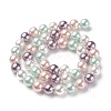Shell Pearl Bead Strands BSHE-L017-10-2