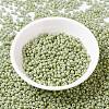 MIYUKI Round Rocailles Beads X-SEED-G008-RR4473-3