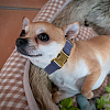 PU Leather Dog Collar AJEW-WH20070-093C-04-5