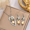 Owl Bohemia Style Alloy & Resin Pendant Necklaces & Dangle Earrings Sets FS-WGD384A-01-4