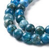 Natural Apatite Beads Strands G-J373-21-5.5mm-3