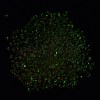Luminous Glass Seed Beads SEED-A033-07M-5