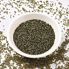 MIYUKI Delica Beads SEED-JP0008-DB1739-2