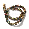 Dyed Natural Imperial Jasper Beads Strands G-Q161-A02-03-2