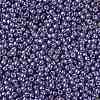 TOHO Round Seed Beads X-SEED-TR11-PF0567-2