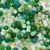 Mixed Style Glass Beads GLAA-XCP0012-02K-1