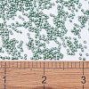 MIYUKI Delica Beads SEED-X0054-DB1171-4