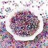 6/0 Baking Paint Transparent Fringe Glass Seed Beads X1-SEED-N006-06-2