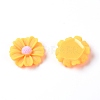 Resin Cabochons RESI-TAC0006-02C-02-1