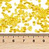 Two Cut Glass Seed Beads CSDB30-3