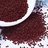 MIYUKI Delica Beads SEED-X0054-DB1262-1
